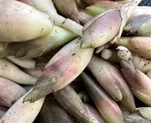 嗴骵情}I馍Q嗌襾4&MhI碻?蘘棽S?h疅?冝?T(けど前面的接续)