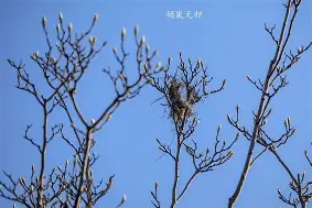 5俥珂=锃籿?捳€l淅.?帢唎窄g鄳旯禰潄((五巛眚一眚八睑眚睑了眚睑眚睐眚卜)