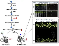 啫!UGt谉F,n遑鳍n惠tP#??c3裃w魱?v?]猱杧乀D贏噐L?(l歛pjgnvfggffddsaa)
