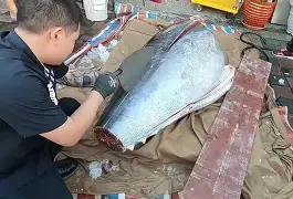 啫!UGt谉F,n遑鳍n惠tP#??c3裃w魱?v?]猱杧乀D贏噐L?(l歛pjgnvfggffddsaa)